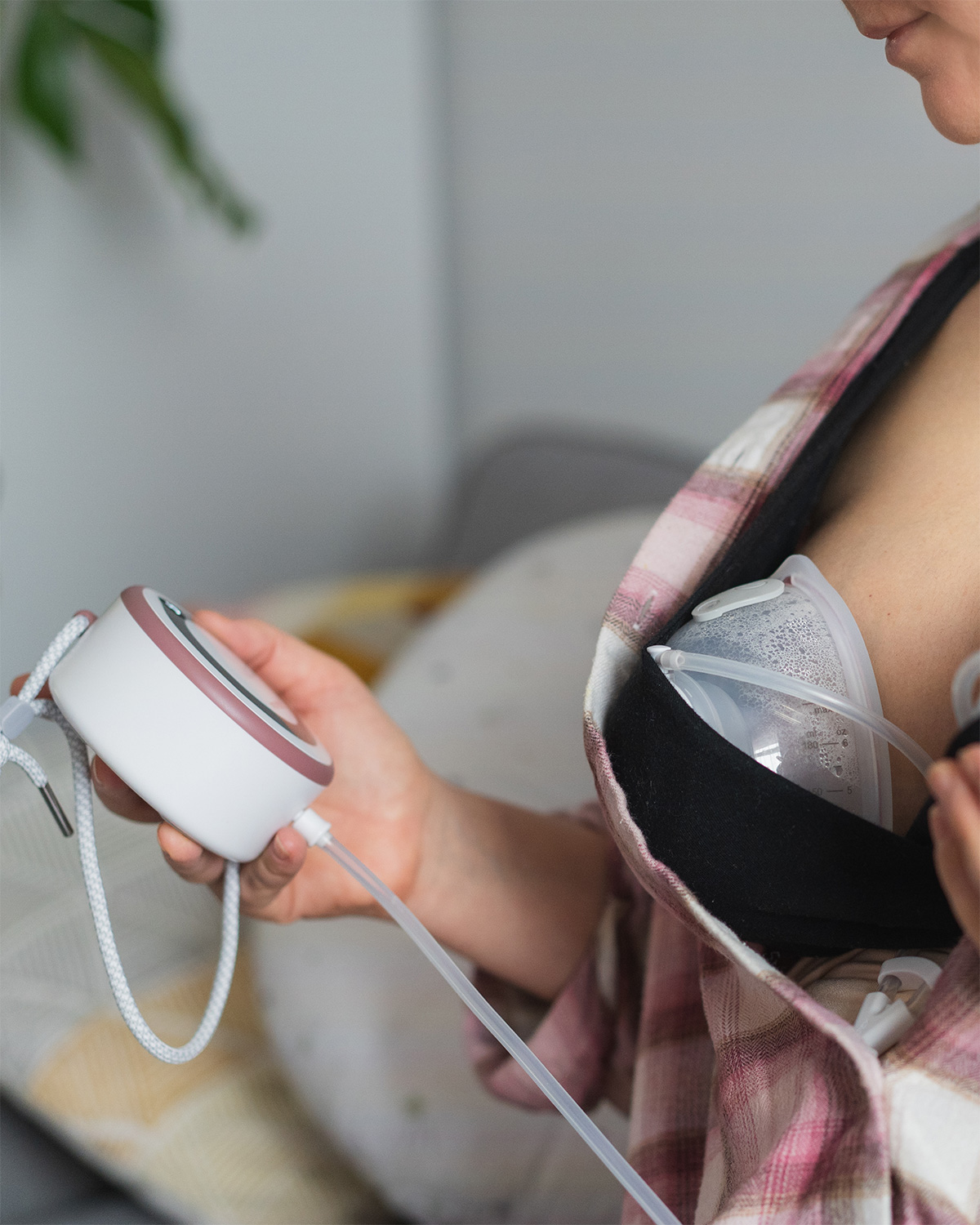 alternative naturale pentru sustinere lactatie